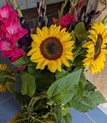 signal-2025-08-12-080937_004 - Kopie