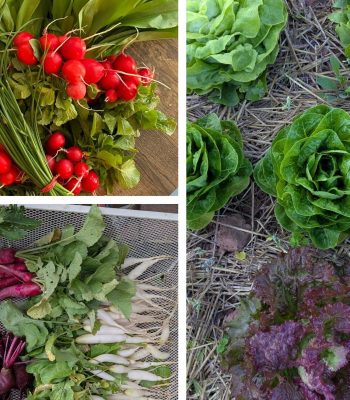 signal-2026-01-20-142334_003